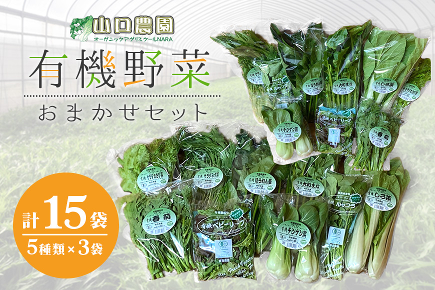 （チルド）山口農園 有機野菜 おまかせセット ／ふるさと