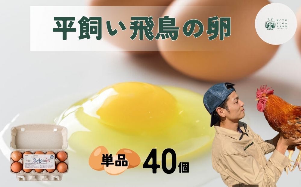 平飼い飛鳥の卵 40個／ 卵 たまご 玉子 生卵 鶏卵 生たまご 