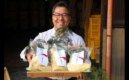 神饌タケノコ 500ｇ入り×3【2026年5月発送分】