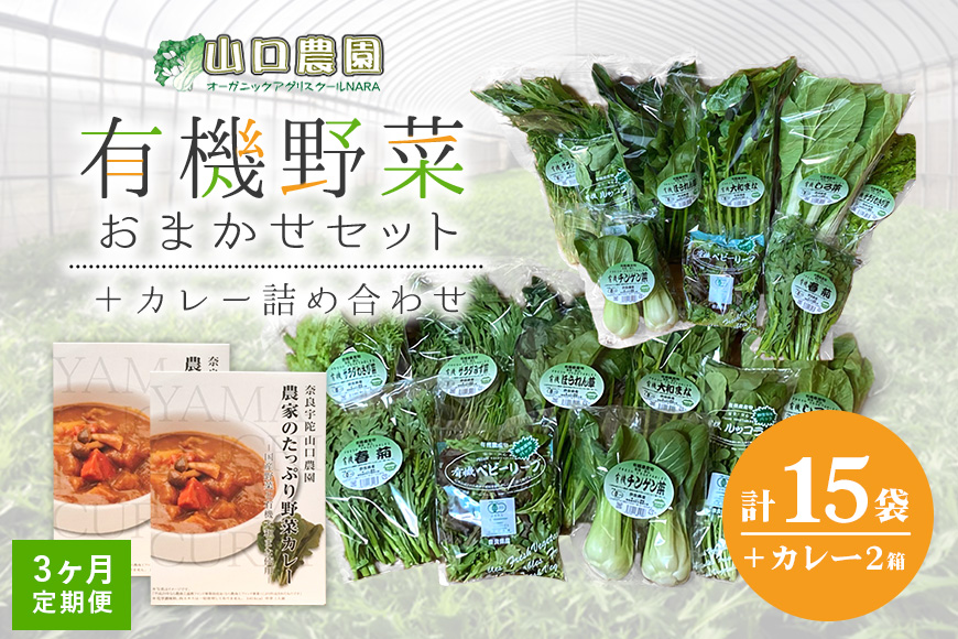 定期便 ３ヶ月 山口農園 有機野菜 おまかせセット＋カレー