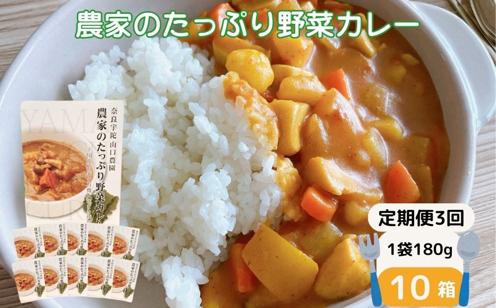 定期便 ３ヶ月 農家のたっぷり野菜カレー １０個 月１回 ／