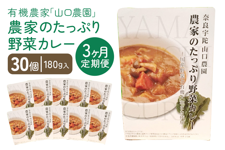 定期便 3ヶ月 農家のたっぷり野菜カレー 30個 月1回 ／ふる