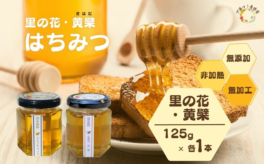 国産 純粋 はちみつ 里の花 125g 黄檗 125g (各1本)／ 蜂蜜 ハチ