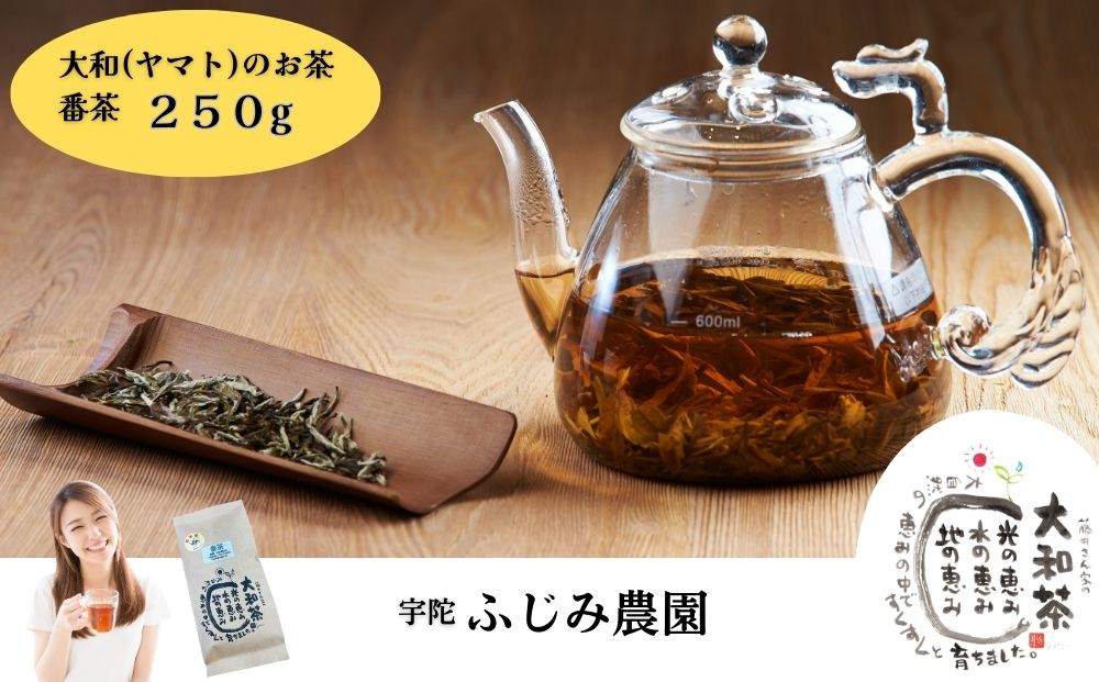 大和(ヤマト)のお茶 番茶 250g