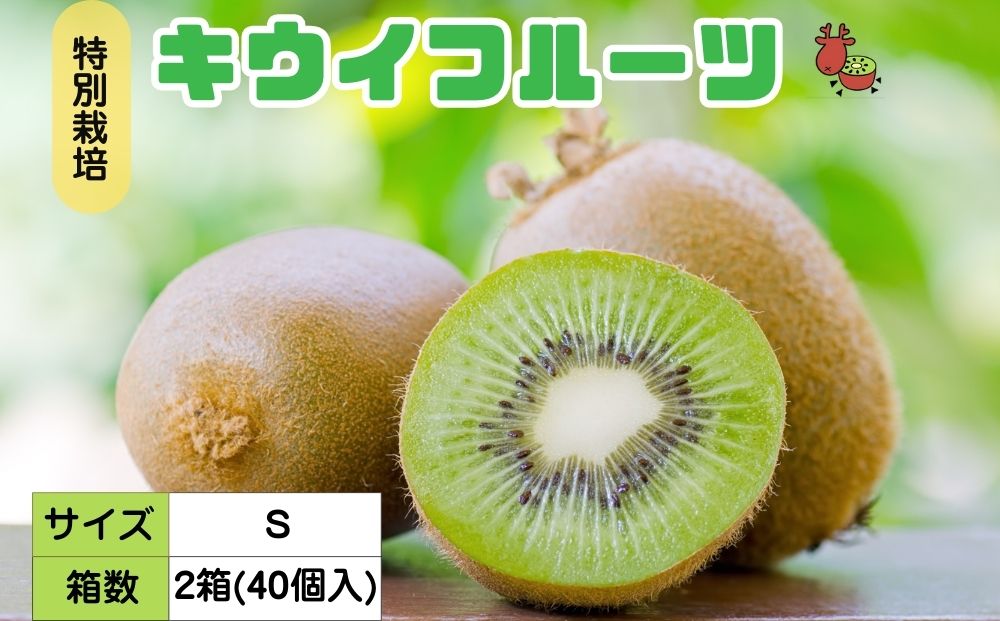 ＜12月以降順次発送＞こだわり プレミアムキウイフルーツ S