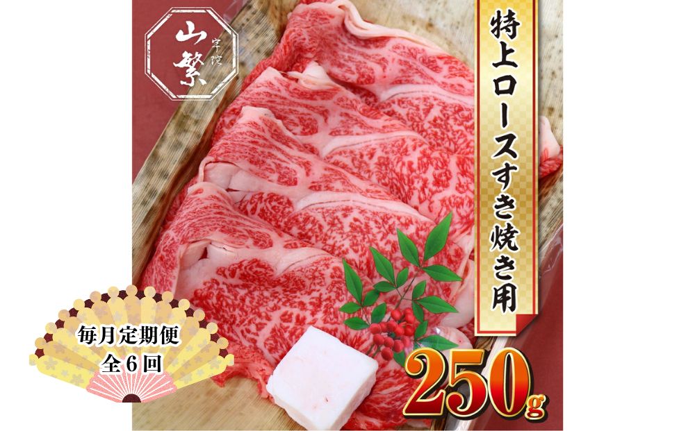 【毎月定期便全6回 】名産 認定肉 宇陀牛 国産 黒毛和牛 特