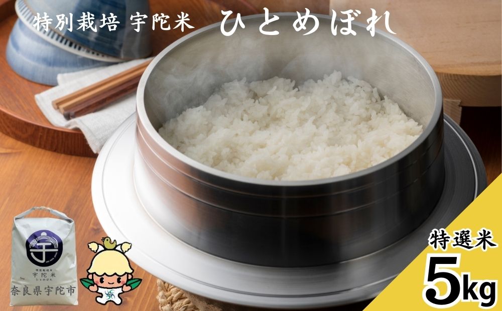 特別栽培 宇陀米ひとめぼれ 5kg【特選米】令和6年産／白米 
