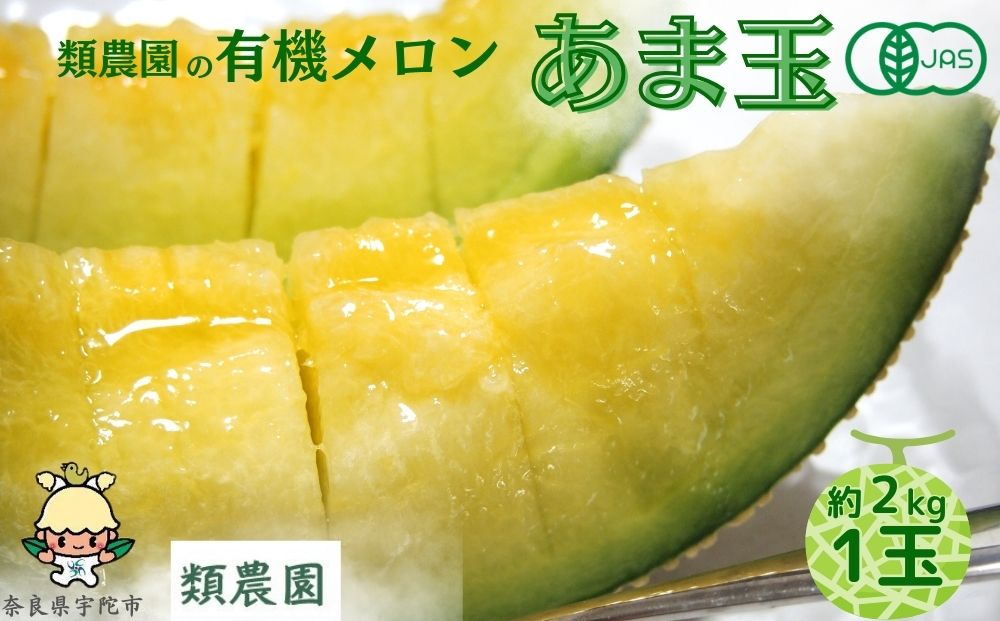 【予約:7月下旬〜8月上旬出荷】有機メロン「甘玉」1玉 ／メ