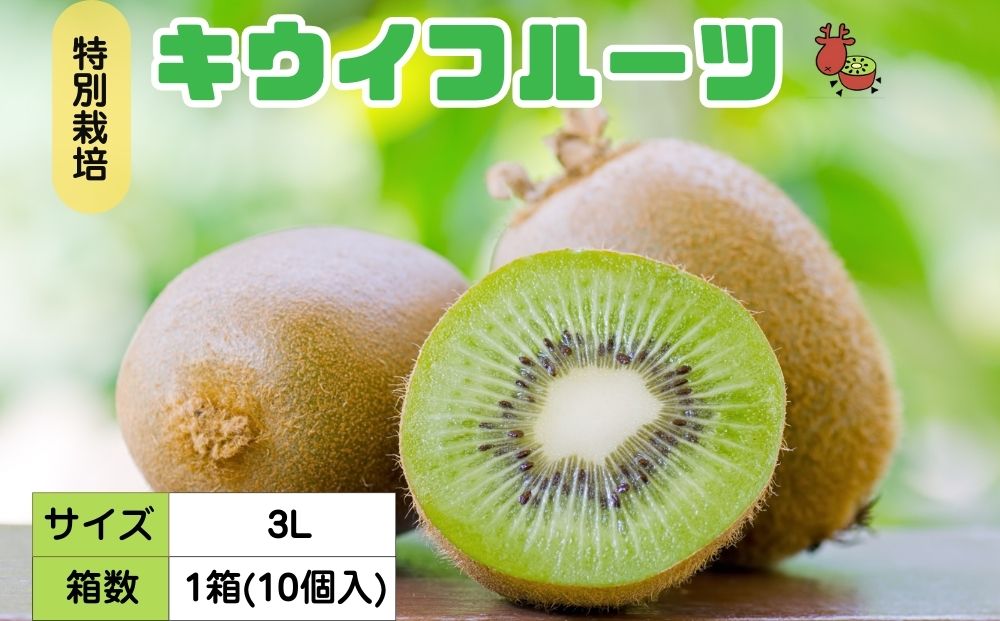 ＜12月以降順次発送＞プレミアム キウイ フルーツ 3L サイズ