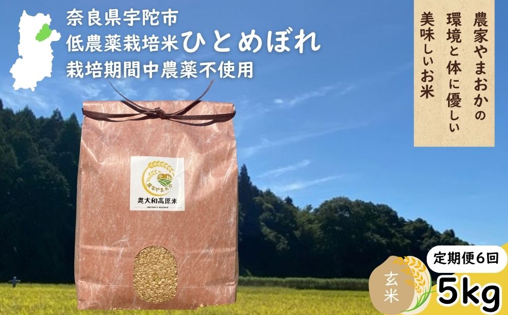 【定期便6回】ひとめぼれ 低農薬栽培＜令和7年産 玄米 5kg 