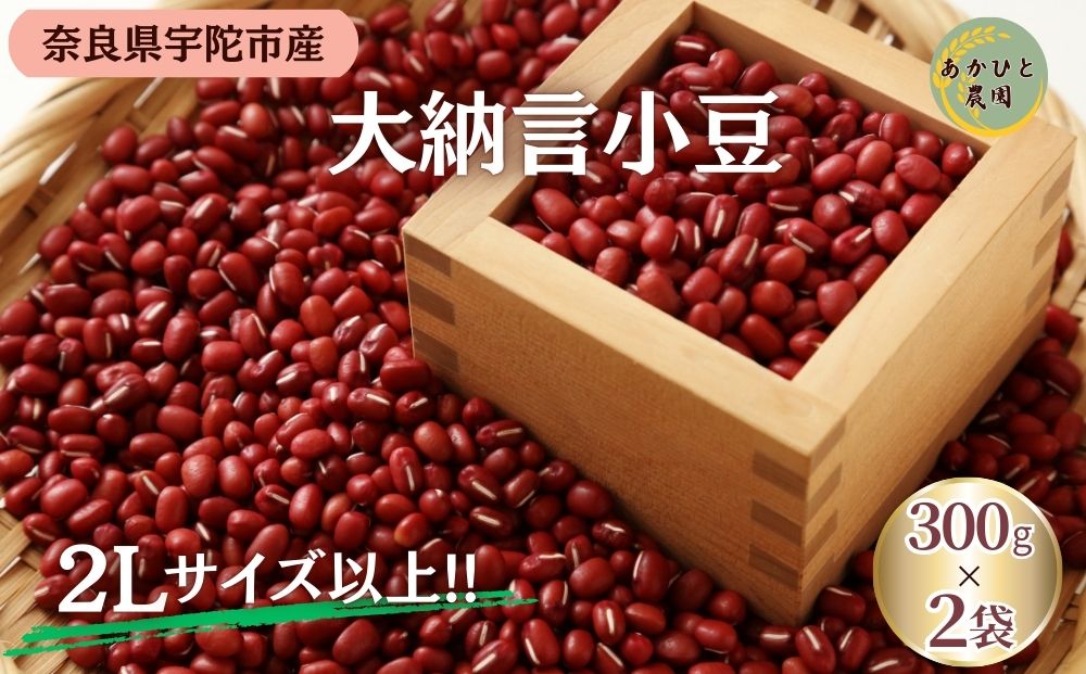 ＜11月中旬以降の発送予定です＞宇陀大納言小豆300g×2袋（2L