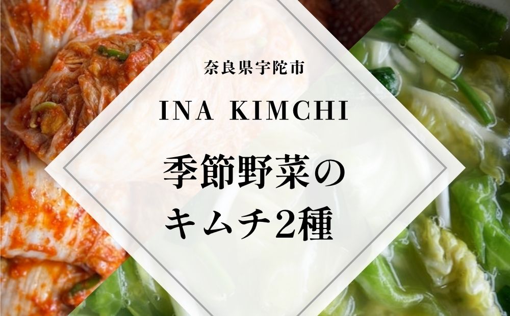 季節野菜のキムチ500g×2種類／ ふるさと納税 キムチ ふるさ