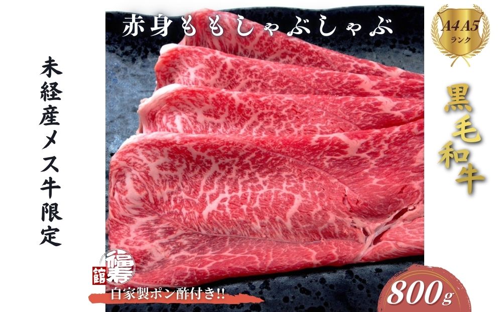 黒毛和牛めす牛 赤身モモ しゃぶしゃぶ肉 800g 自家製ポン酢