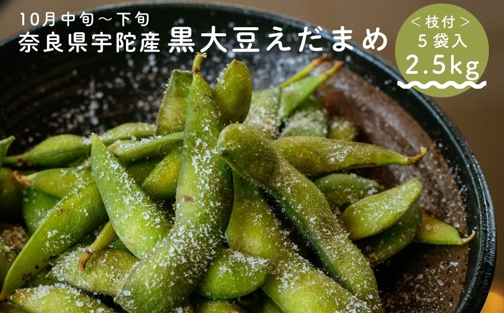 ＜10月中旬～下旬発送＞宇陀 黒大豆 えだまめ 合計約2.5kg (5