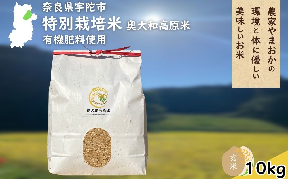 特別栽培米 ＜令和7年産 玄米 10kg＞ / ふるさと納税 栽培期