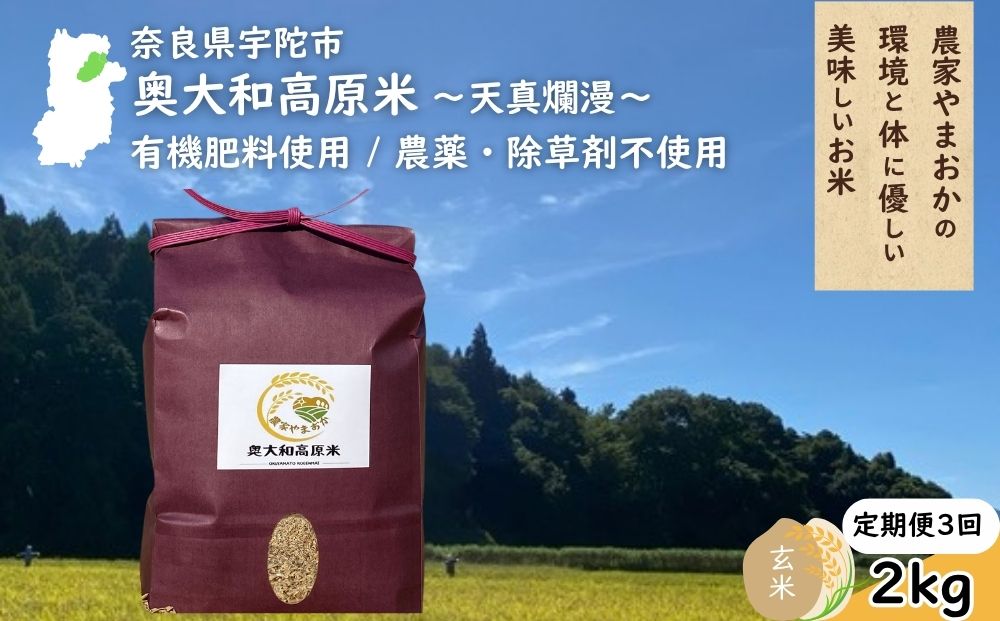 【定期便3回】天真爛漫 奥大和高原米 ＜令和7年産 玄米 2kg