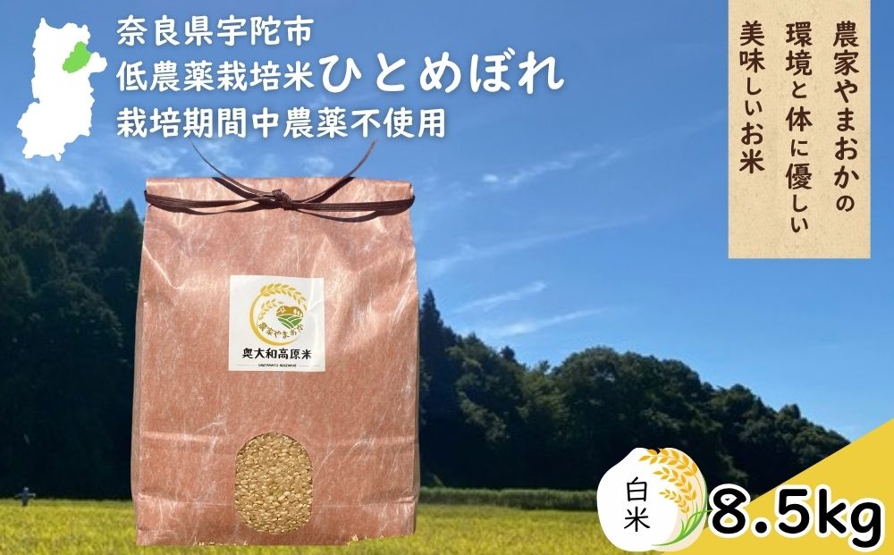 ひとめぼれ 低農薬栽培＜令和7年産 白米 8.5kg ＞ / ふるさと
