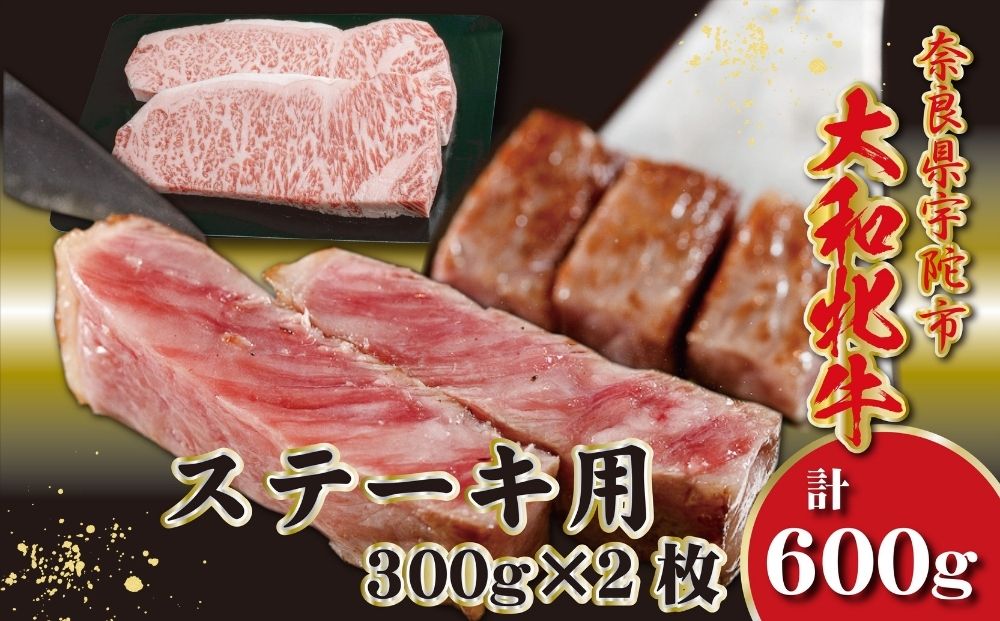 ＜冷凍＞大和牝牛 サーロインステーキ 300g×2枚 計600g ／太