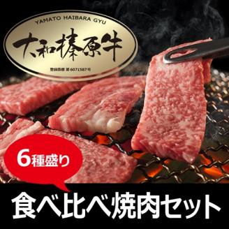 (冷凍)大和榛原牛 焼肉 6種盛り/うし源本店 黒毛和牛 A5 キャンプ ロース カルビ モモ ミスジ ウデ イチボ 父の日 奈良県 宇陀市 お中元 贈答用 贈り物 暑中見舞い お土産 お歳暮 内祝いまとめ買い 美味しい部位 キャンプ 送料無料