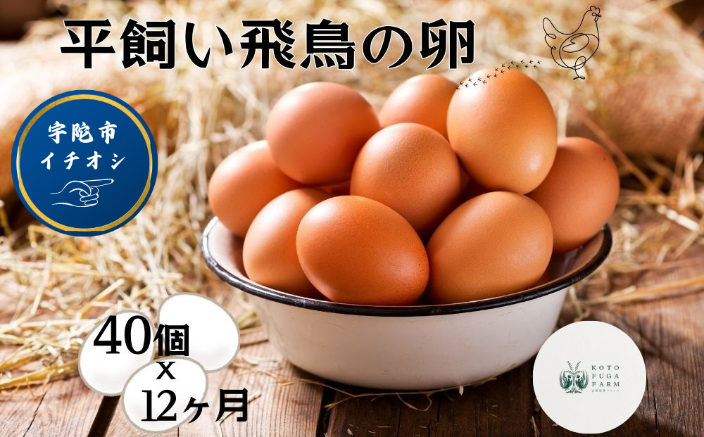 定期便 12ヶ月 美味しい 平飼い 飛鳥の卵 40個 冷蔵 月1回 / 古都 風雅 ファーム ふるさと納税 たまご 玉子 鶏 卵 取り寄せ 新鮮 生食 安心 安全 健康卵 飛鳥 チルド 奈良県 宇陀市 卵 小分け オーガニック 非遺伝子組み換え お中元 贈答用 贈り物 暑中見舞い お土産