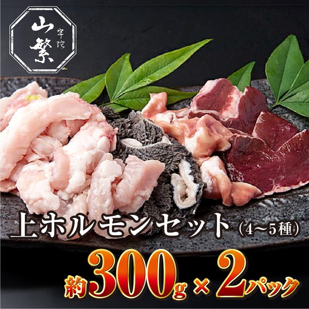特産 認定肉 宇陀牛 国産 黒毛和牛 希少 上ホルモン 4～5種