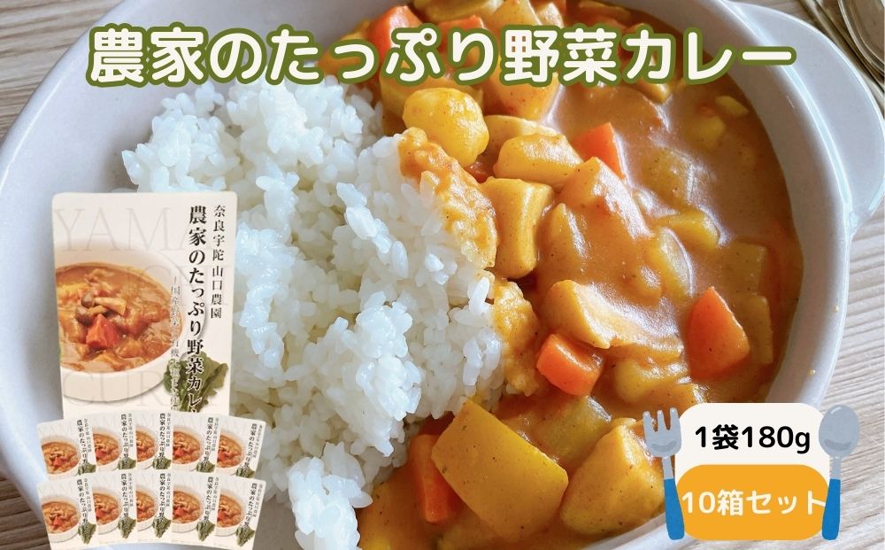 農家のたっぷり野菜カレー 10個／ふるさと納税 レトルトカ