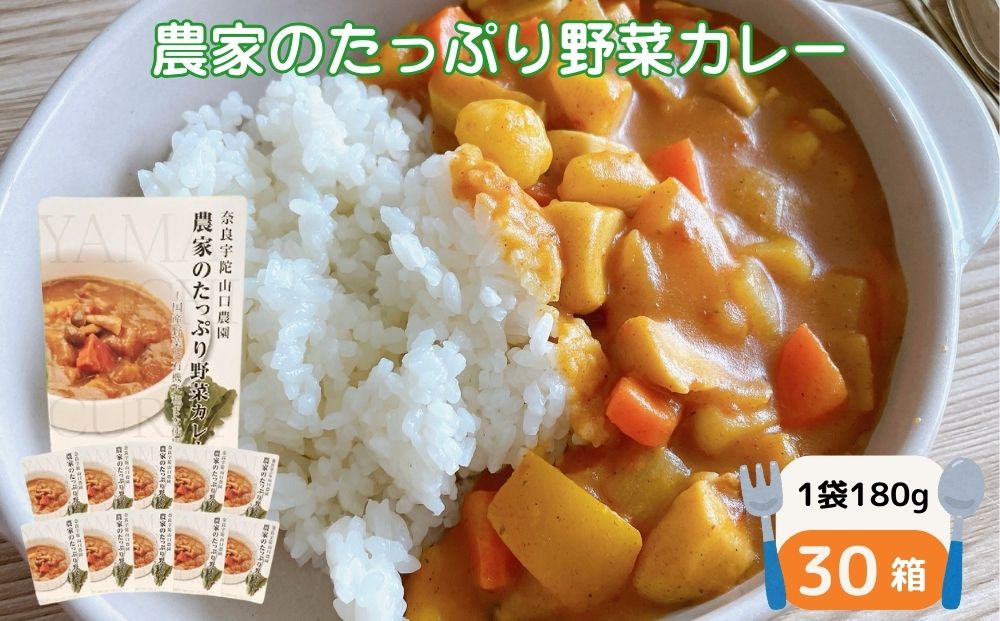 農家のたっぷり野菜カレー ３０個／山口農園 有機野菜 オ