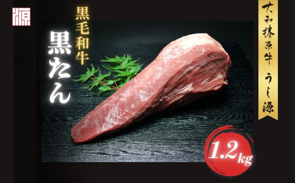 (冷凍) 黒毛和牛 タン 1本 1.2kg／ふるさと納税 牛たん ブロッ