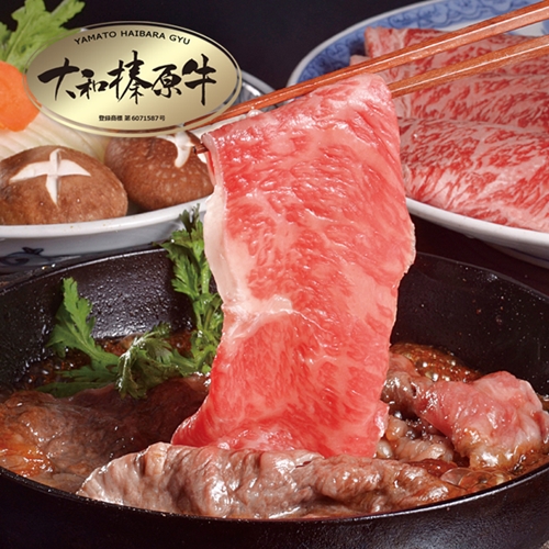 (冷凍) 肉料理 うし源 すき焼き セット サーロイン 2人前 400g