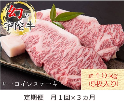 毎月定期便全3回 名産 認定肉 宇陀牛 国産 黒毛和牛 サーロ