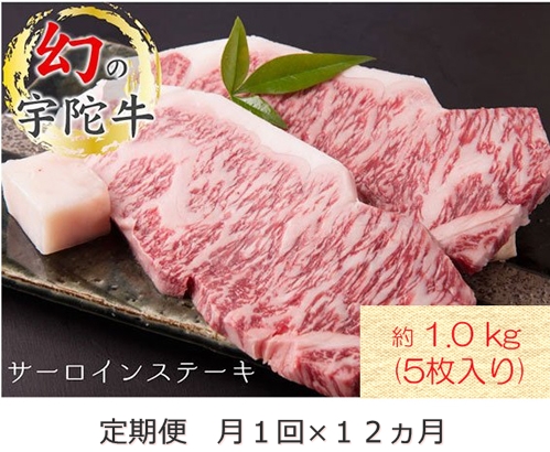 毎月定期便全12回 名産 認定肉 宇陀牛 国産 黒毛和牛 サーロ