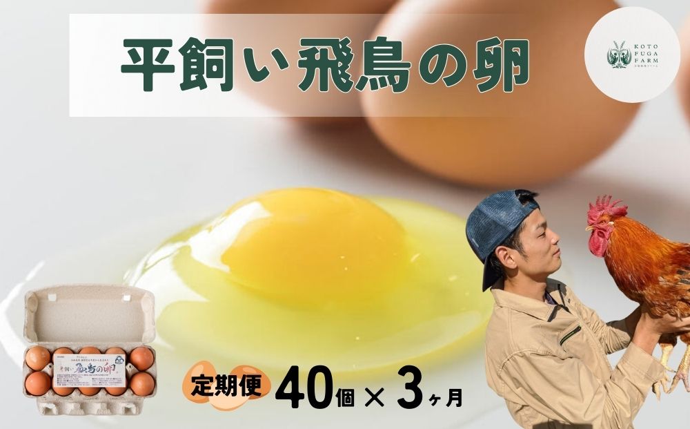 【毎月定期便／3ヶ月】平飼い飛鳥の卵 40個／ 卵 たまご 玉