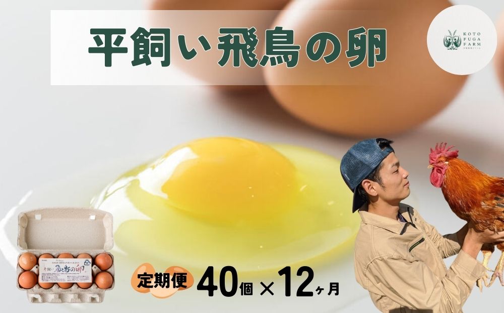 【毎月定期便／12ヶ月】平飼い飛鳥の卵 40個／ 卵 たまご 玉