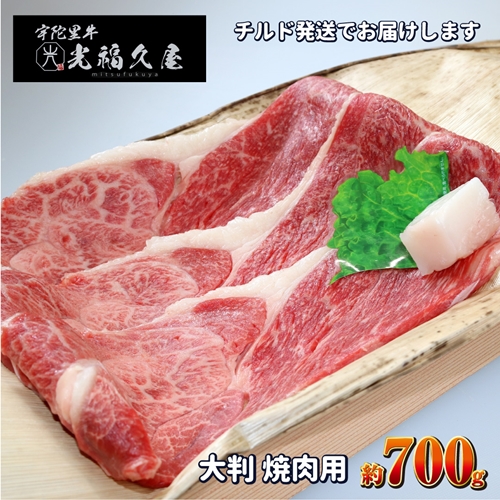 チルド 宇陀里牛 大判 焼肉用 約700g ／ふるさと納税 ふるさ