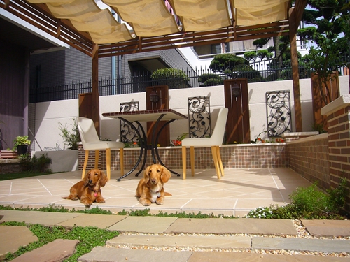 ペットと過ごす アウトドア リビング Type-C ／ ピッツバーグ