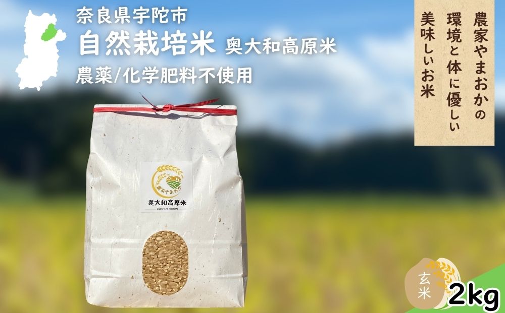 自然栽培米 玄米 ＜令和7年産 単発 / 2kg＞ ／ ふるさと納税