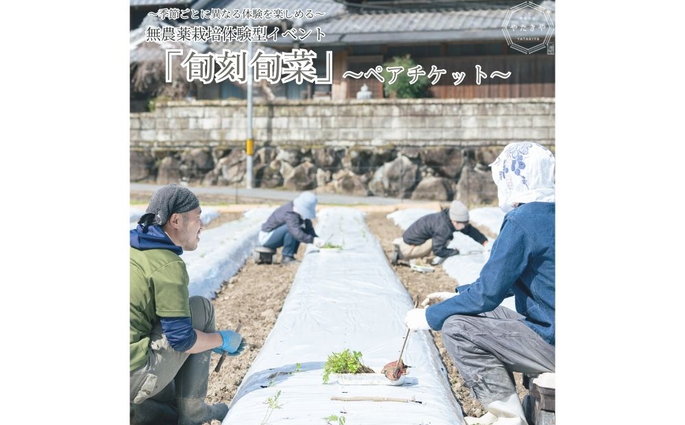 『旬刻旬菜』参加チケット（ペアチケット）家庭菜園のお