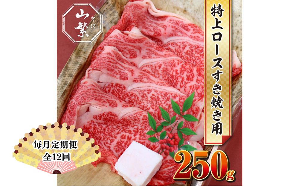 【毎月定期便全12回 】名産 認定肉 宇陀牛 国産 黒毛和牛 特