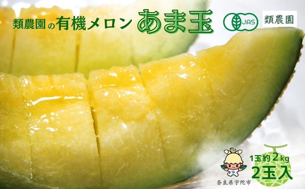 ＼予約販売／【7月下旬?8月上旬出荷】有機メロン「甘玉」