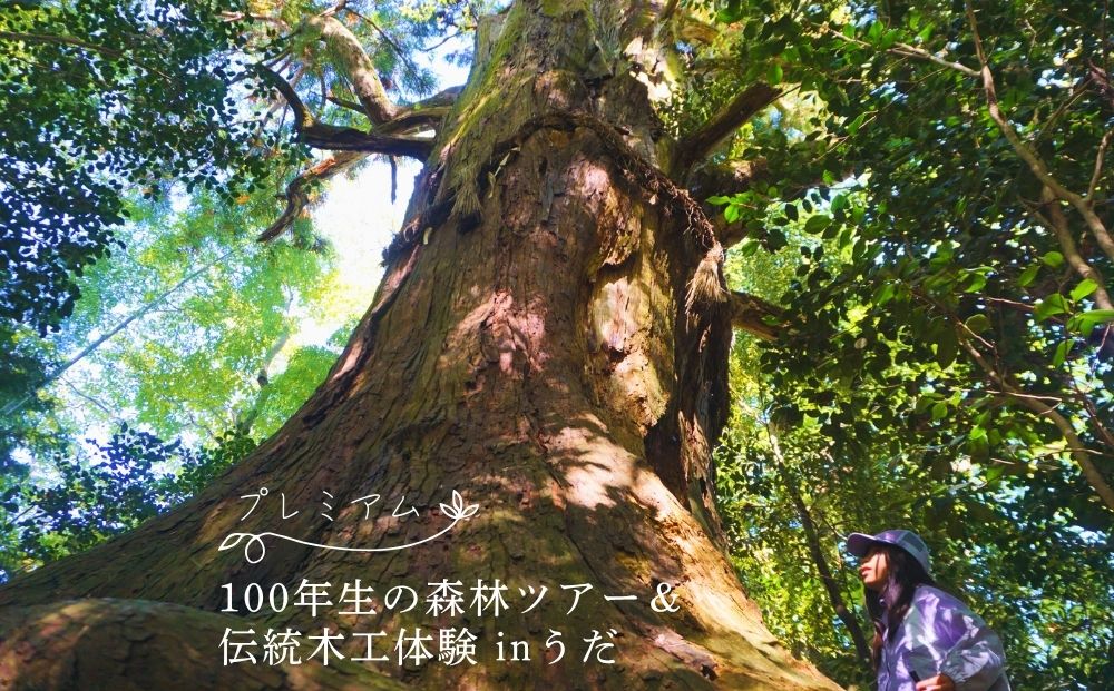 100年生の 森林ツアー ＆ 伝統木工体験 inうだ プレミアム／