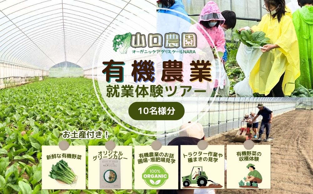 有機農業 就業体験 ツアー お土産付 10名様迄／ 収穫体験 種