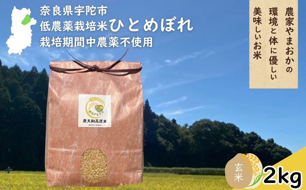 ひとめぼれ 低農薬栽培＜令和7年産 玄米 2kg ＞ / ふるさと納