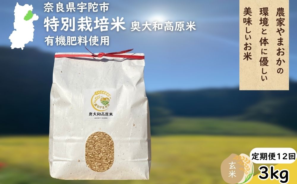 【定期便12回】 特別栽培米 ＜令和7年産 玄米 3kg＞ / ふるさ