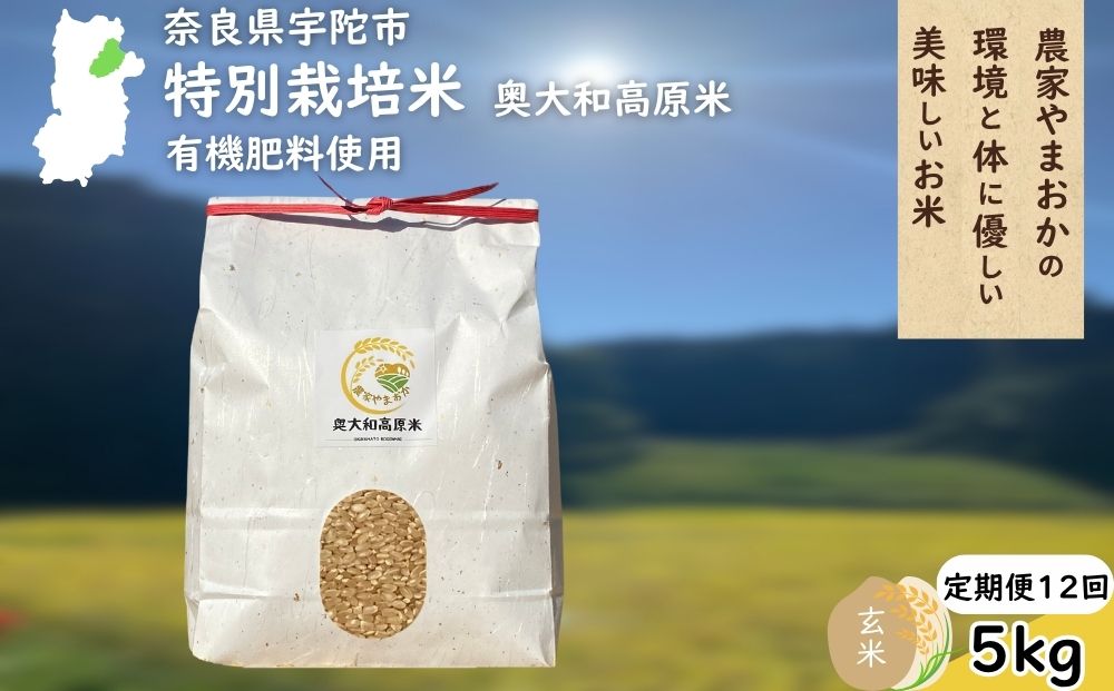 【定期12回】特別栽培米 ＜令和7年産 玄米 5kg＞ / ふるさと