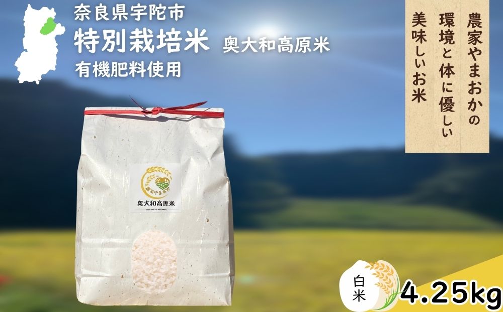 特別栽培米 ＜令和7年産 白米 4.25kg＞ / ふるさと納税 栽培期