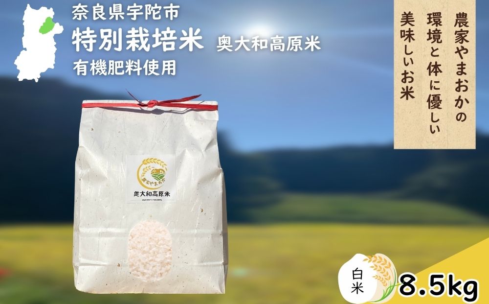 特別栽培米 ＜令和7年産 白米 8.5kg＞ / ふるさと納税 栽培期