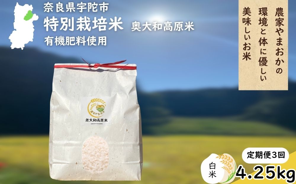 【定期便3回】特別栽培米 ＜令和7年産 白米 4.25kg＞ / ふるさ