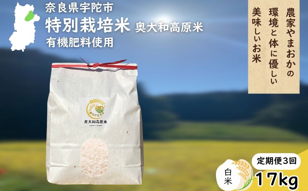 【定期便3回】特別栽培米 ＜令和7年産 白米 17kg＞ / ふるさ