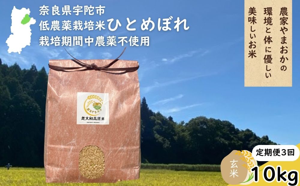 【定期便3回】ひとめぼれ 低農薬栽培＜令和7年産 玄米 10kg