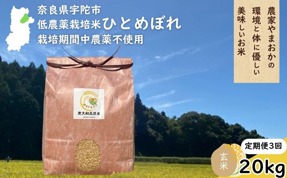 【定期便3回】ひとめぼれ 低農薬栽培＜令和7年産 玄米 20kg